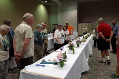 Karyn Cichocki discussing the Streptocarpus class at the review