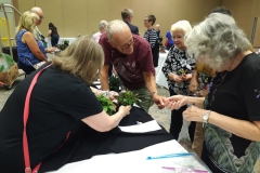 More plant sharing