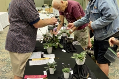 Jim Vlasic sharing more plant material