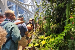 Group viewing the interior gardens