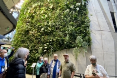 Tour group with the high plant wall