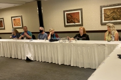 Dale Martens facilitating an information discussion