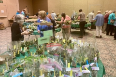 Lots of plants for all the shoppers