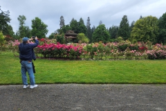 Wallace Wells photographing the rose garden