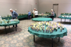 The early stages of plant sales set-up