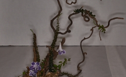 "Appalachian National Scenic Trail" exhibited by Karyn Cichocki "Appalachian National Scenic Trail" exhibited by Karyn Cichocki
