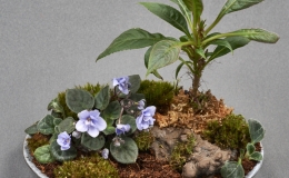 Tray Landscape exhibited by Barbara Stewart