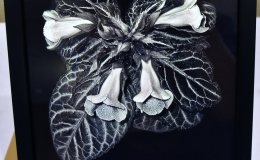 Sinningia hybrid exhibited by Dale Martens