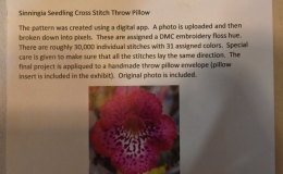 Sinningia seedling cross stitch pillow exhibited by Brandon Erikson-label