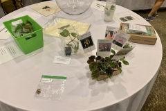 Live auction table for auction on Saturday