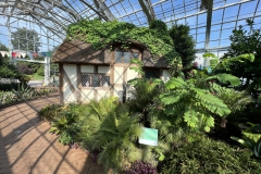 Other interesting displays inside the conservatory