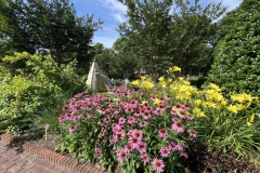 Outdoor gardens