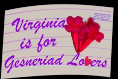 Convention 2023 Logo