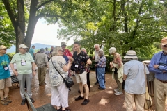 Group enjoying conversation under the large trees