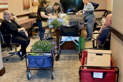 Phyto inspection process