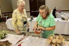 Flower Show breakdown: Barbara Stewart sharing plant material with Johanna Zinn