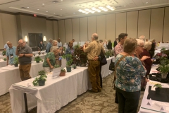 More plant talk in the show room