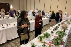 Deanna Belli and Julie Thompson discussing the show entries