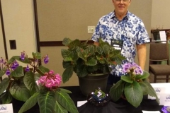 Dave Zaitlin and his Best in Horticulture Collection of Sinningia Species and Cultivars