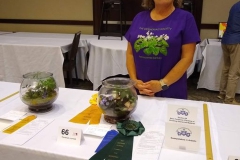 Barbara Stewart awarded Sweepstakes in the Artistic Division