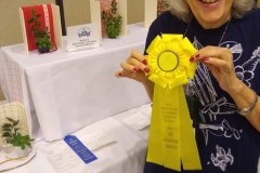 Laura Buckner awarded Best Arrangement of Growing Gesneriad Material