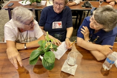 Molly Schneider, Sharon Long, Dee Stewart