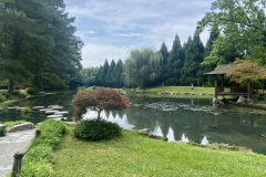 Peaceful scene in the Japanese Garden