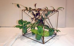 “Missouri Botanical Garden” exhibited by Mel Grice “Missouri Botanical Garden” exhibited by Mel Grice