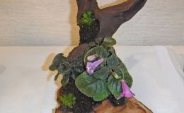 Natural Garden exhibited by Rita Gindt-Marvig