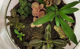 Terrarium, curved exhibited by MJ Tyler