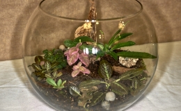 Terrarium, curved exhibited by MJ Tyler