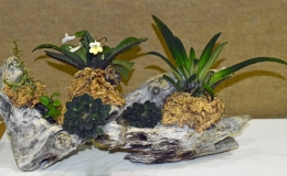 Natural Garden exhibited by John Wrightson