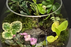 Terrarium Ruth Hoffman, CT