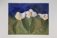 Nematanthus albus (oil on canvas)Gilvanete R. Surine, MN