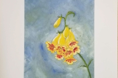 Titanotrichum oldhamii (oil on canvas) Gilvanete R. Surine, MN