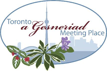 2013ConvLogo