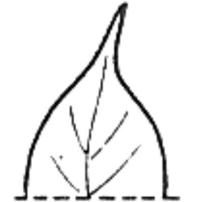 Image for choice number 2