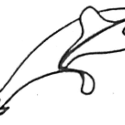 Image for choice number 6
