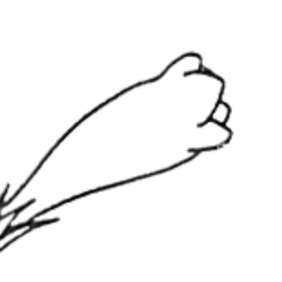 Image for choice number 2