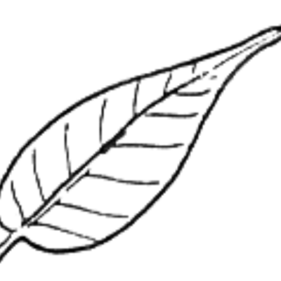 Image for choice number 6
