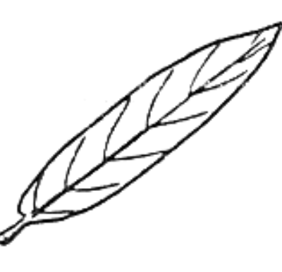 Image for choice number 1