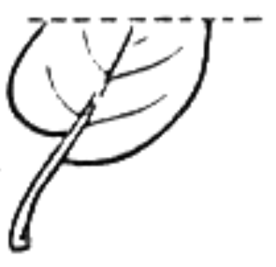 Image for choice number 3