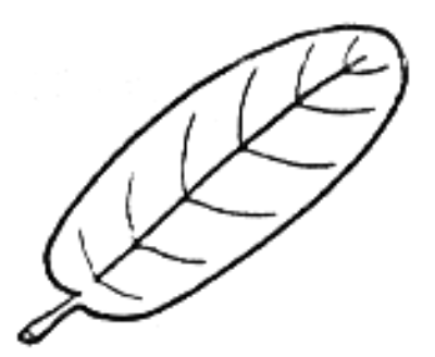Image for choice number 4
