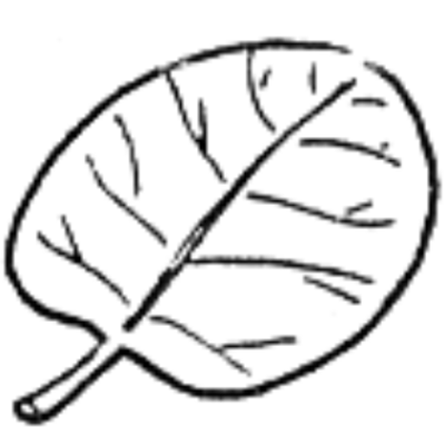 Image for choice number 5