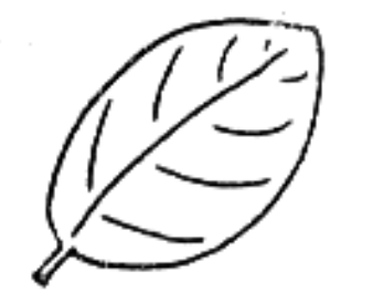 Image for choice number 3