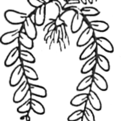 Image for choice number 4